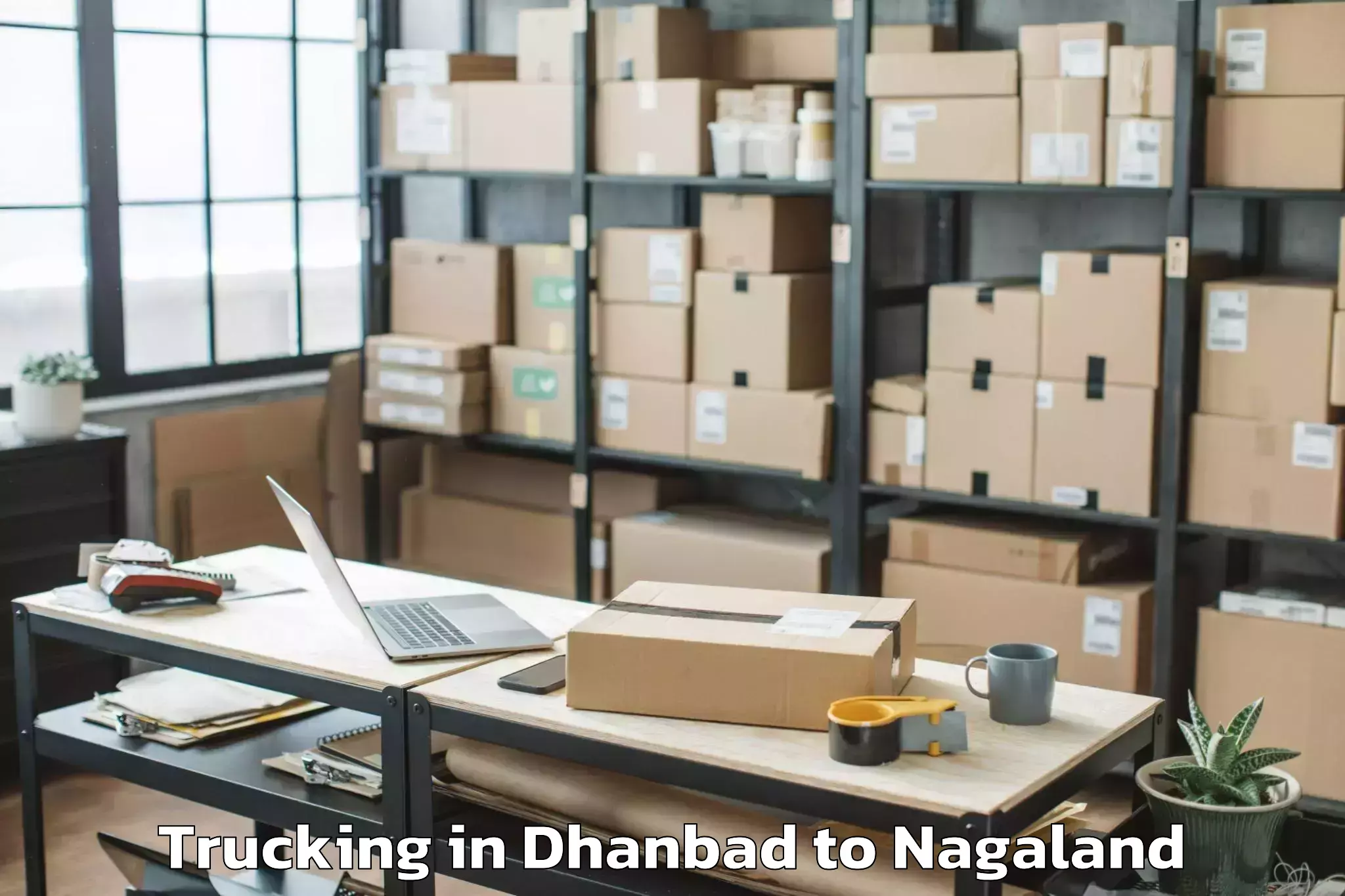 Top Dhanbad to Mokokchung Trucking Available